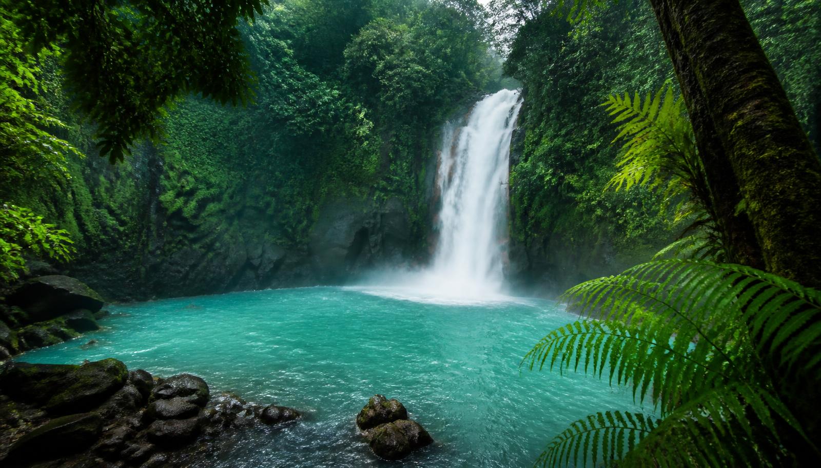 Amazon rainforest waterfall flowing into a turquoise pool